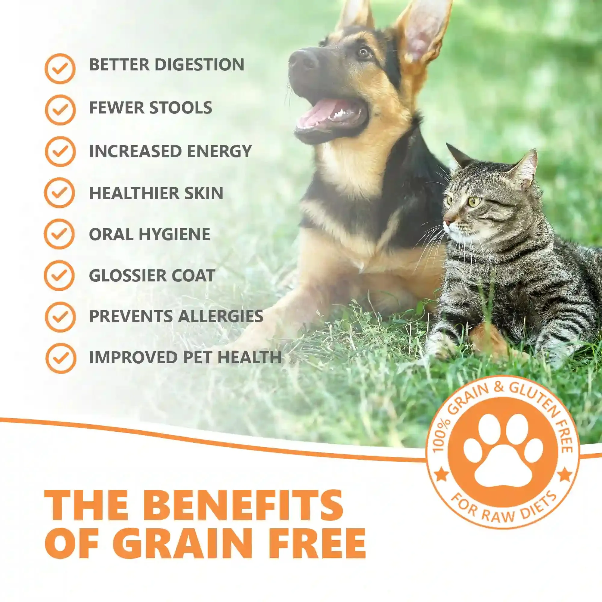 100% Natural Grain Free Skin & Coat Premium Treats | 70g