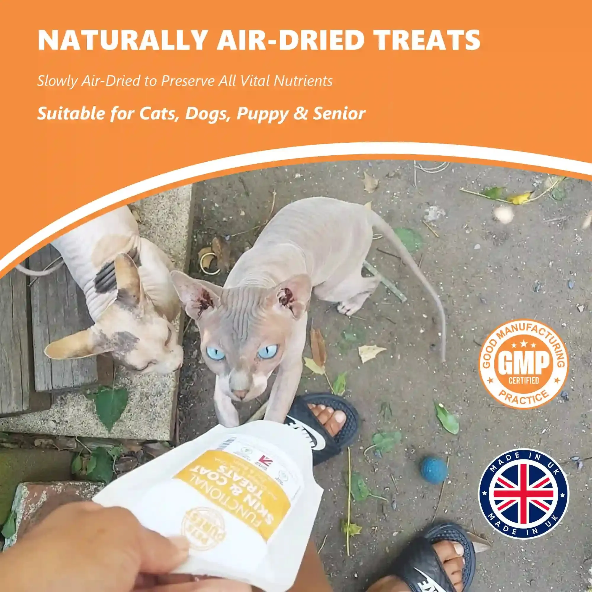 100% Natural Grain Free Skin & Coat Premium Treats | 70g