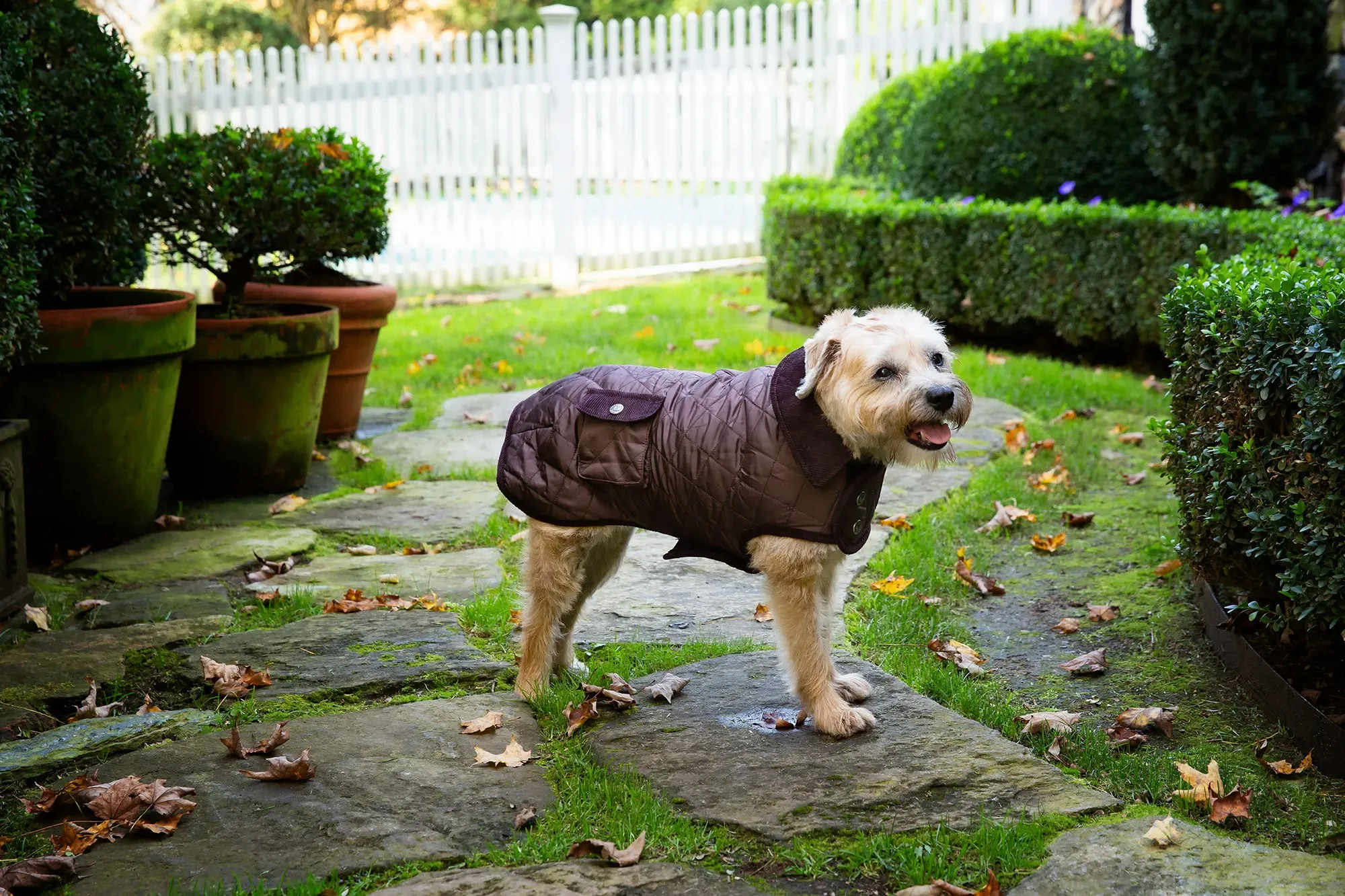 Barn Coat w/Brown Corduroy Collar - 6 Color Options