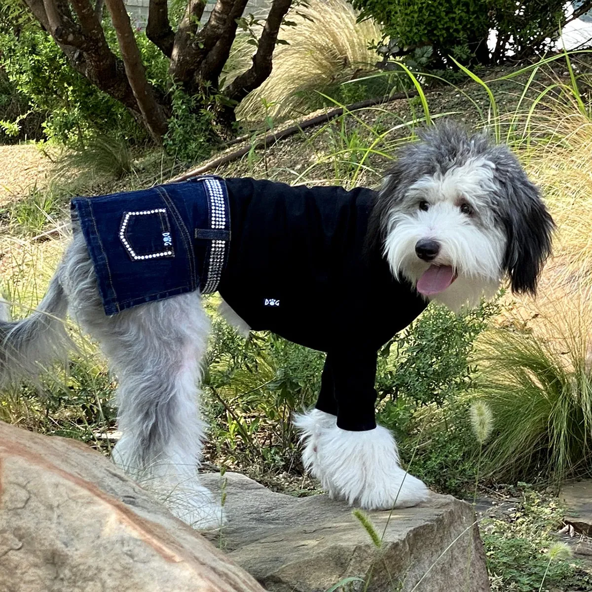 Black Long Sleeve Turtleneck Dog Tee