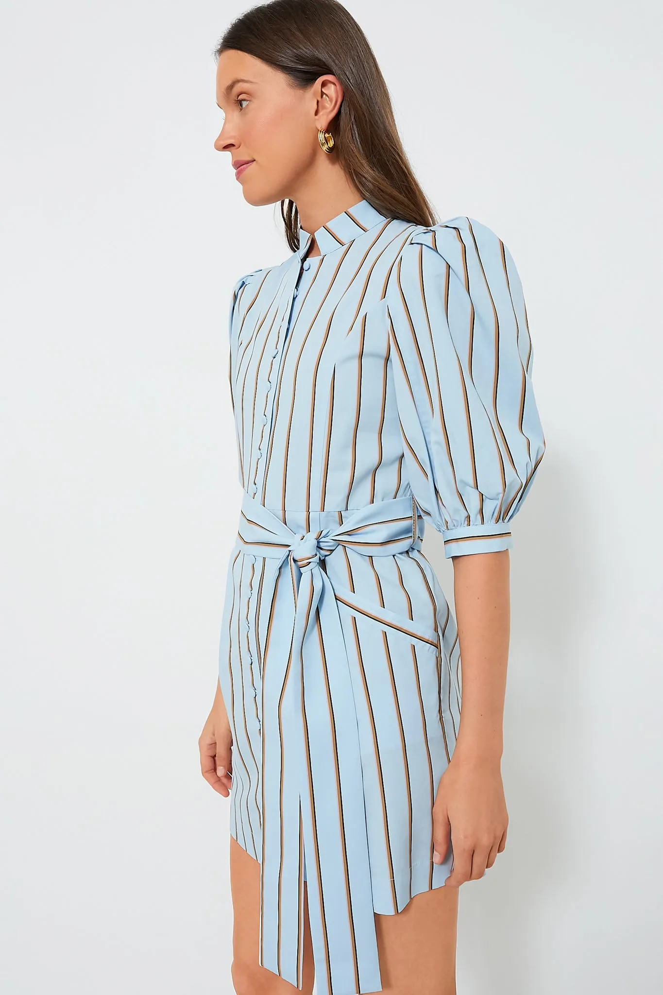 Celeste and Camel Amoako Short Stripes Dress