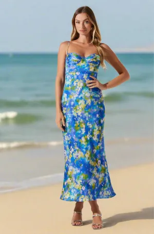 Florianne Maxi Dress Blue Multi