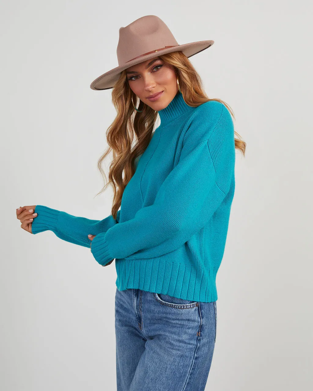 Hannigan Turtleneck Knit Sweater