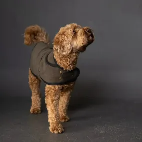 PDF Pattern - Barka Dog Coat | Merchant & Mills