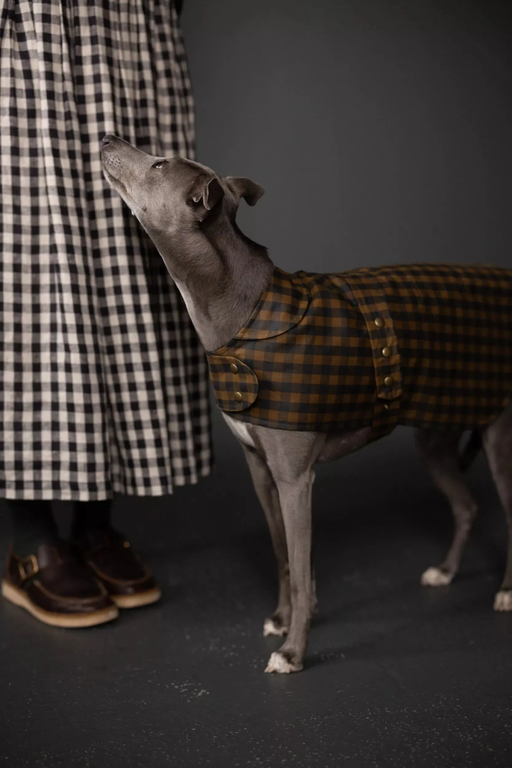 PDF Pattern - Barka Dog Coat | Merchant & Mills