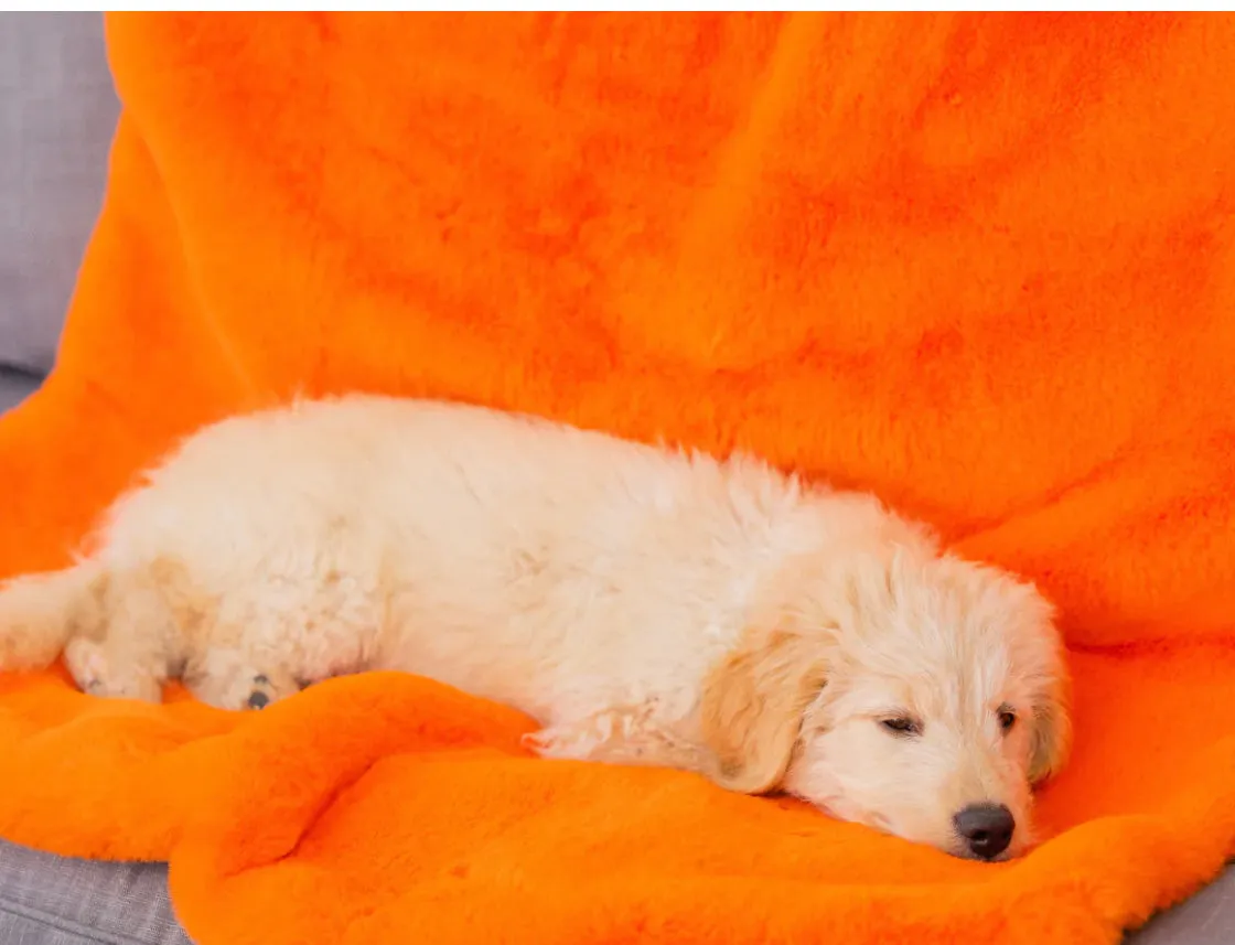 Pretty Rugged Faux Fur Lap Blanket Orange