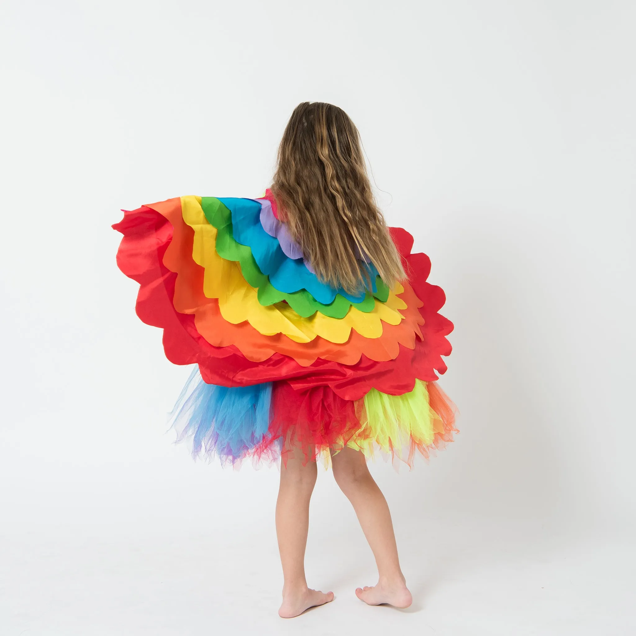 Rainbow Lorikeet Cape