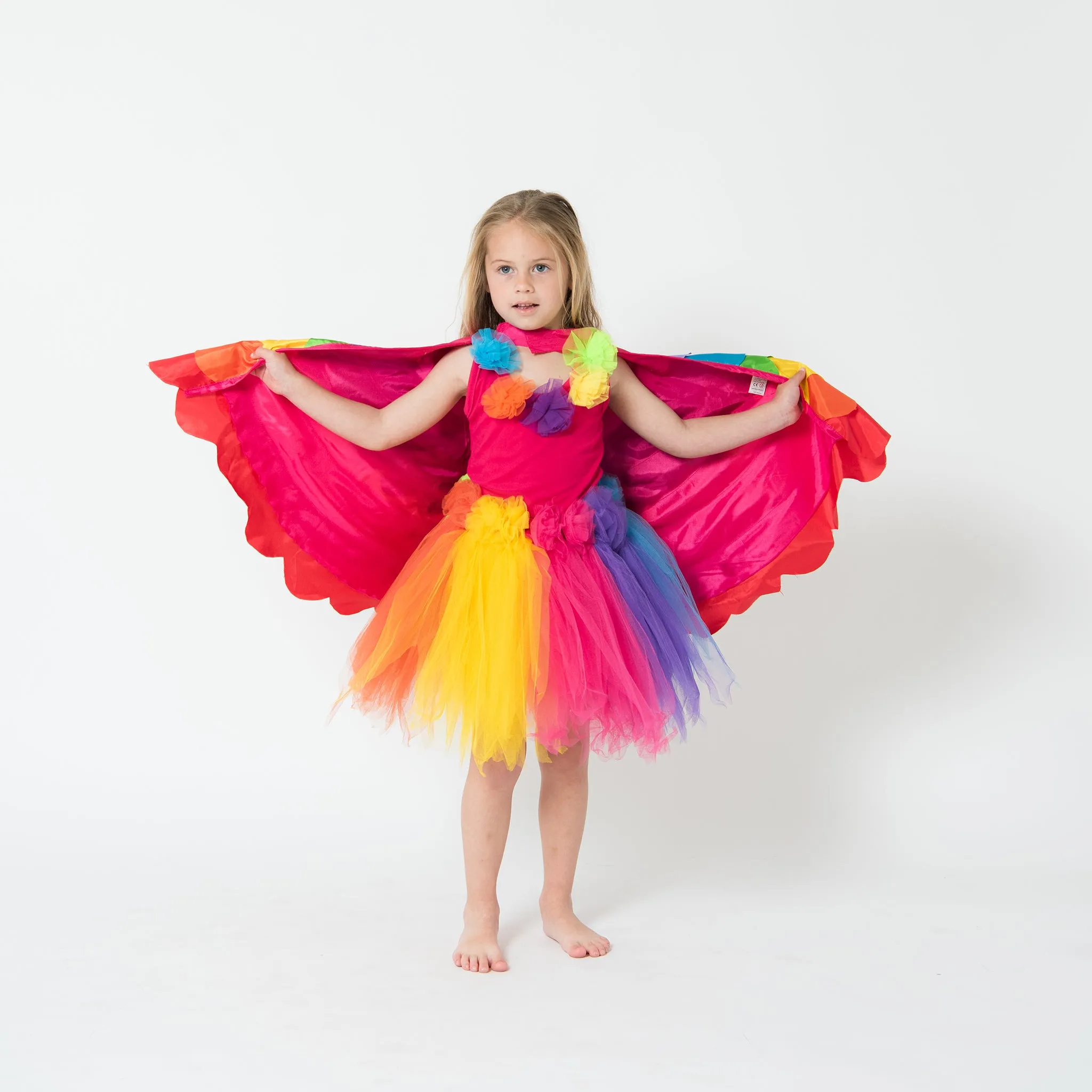 Rainbow Lorikeet Cape