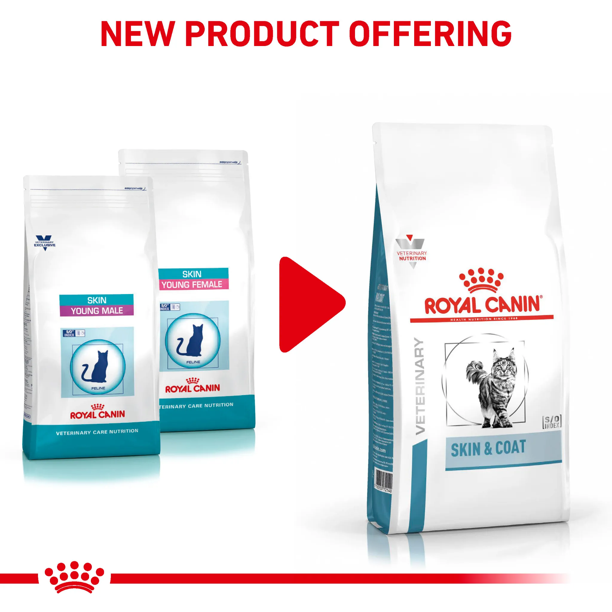 ROYAL CANIN® Feline Skin & Coat Adult Dry Cat Food